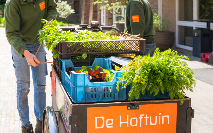 bakfiets scorlewald 2023