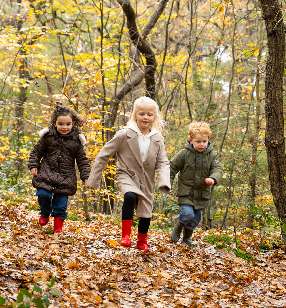 blooming hotel kids november 2025 -2