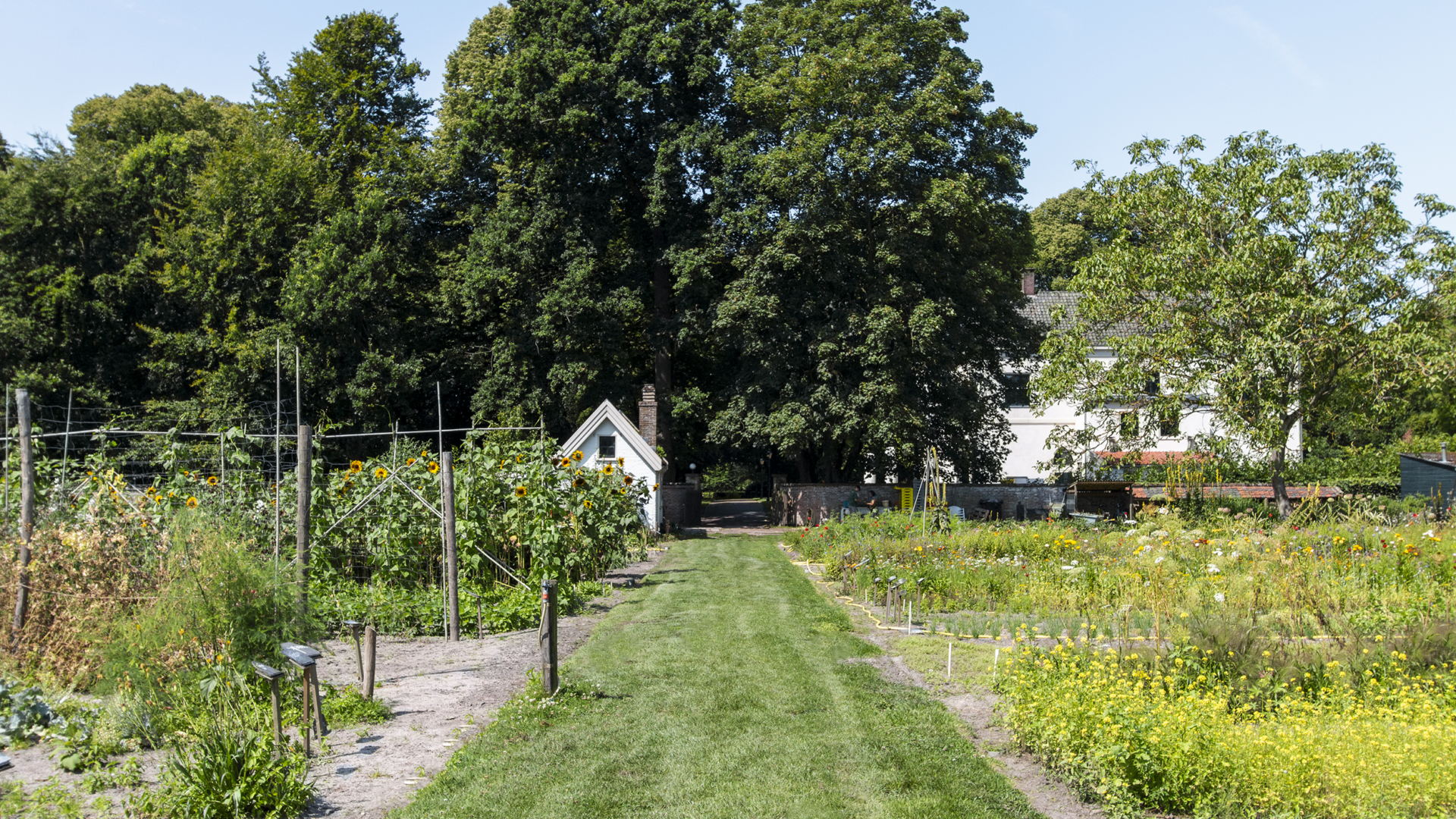 de Hoftuin bij het hof
