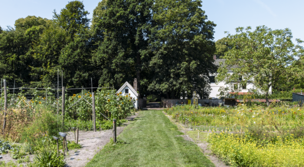 de Hoftuin bij het hof