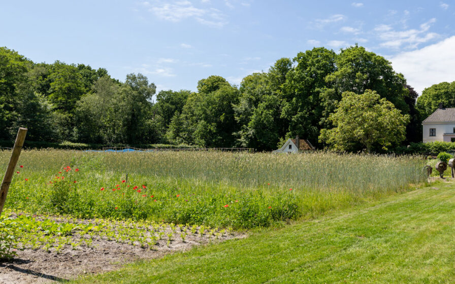 de-hoftuin-bij-landgoed-het-hof