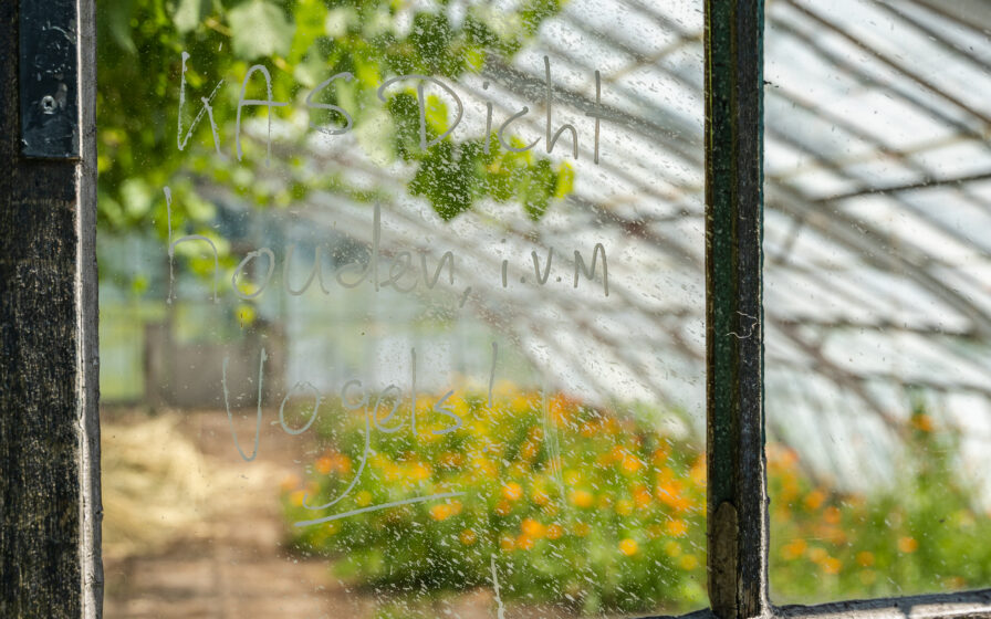 de kas in de hoftuin blooming