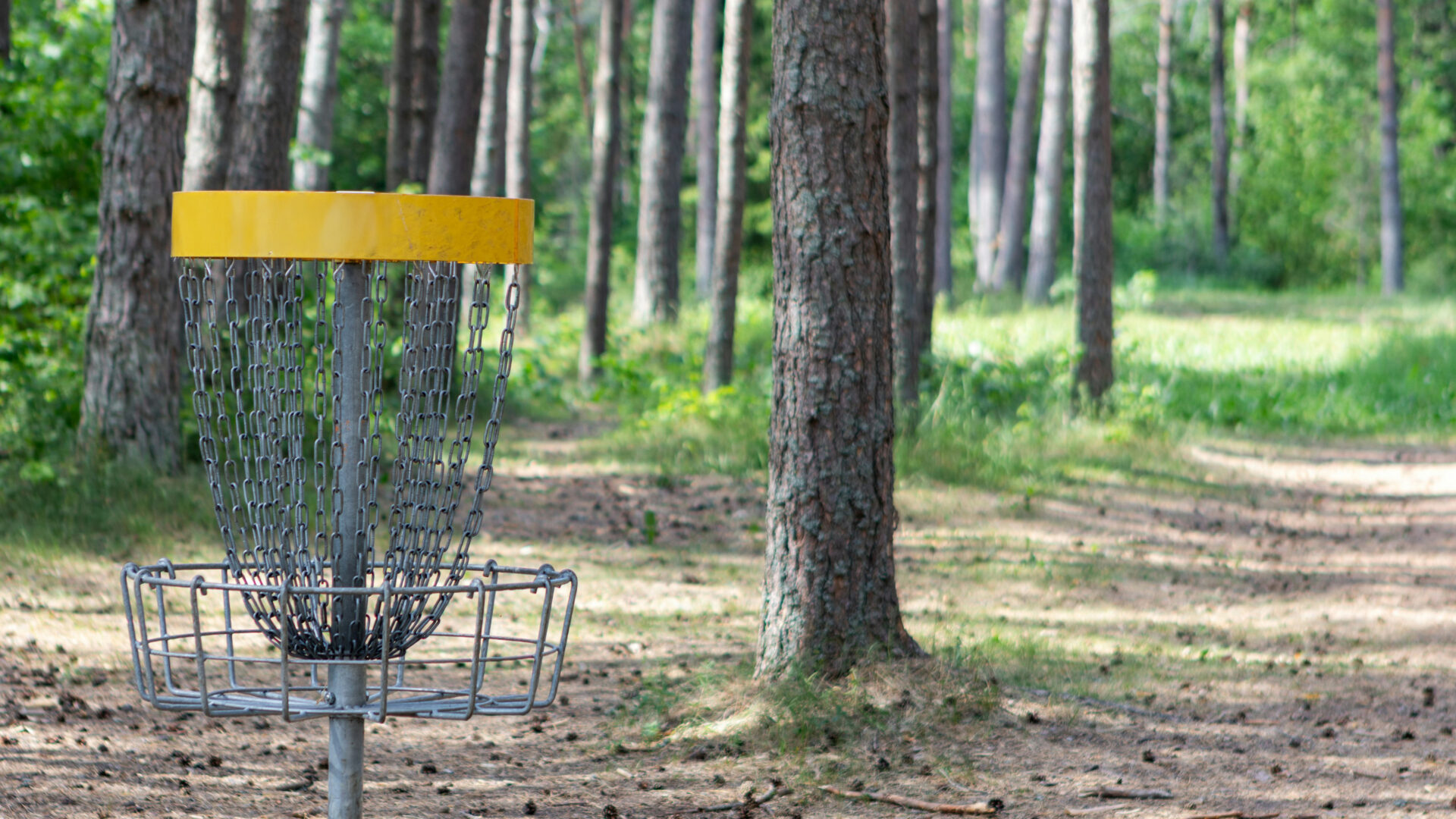 discgolf