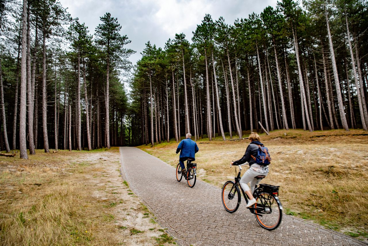 fietspad schoorlse duinen bos