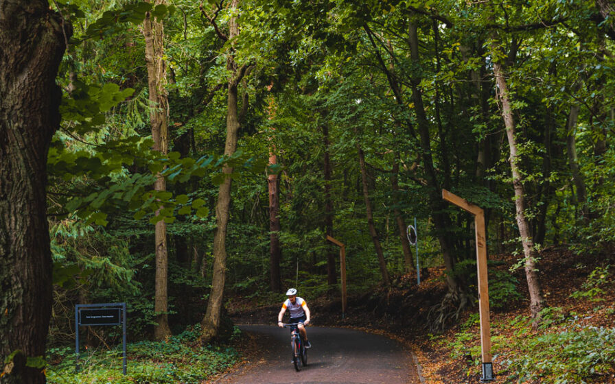 hotel-midden-in-het-bos