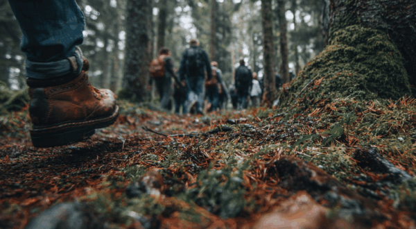mindful wandelen