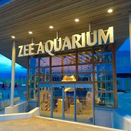 to-do-blooming-hotel-zee-aquarium